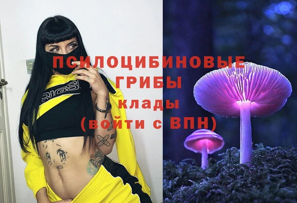 индика Усмань