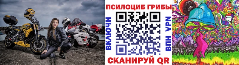 Псилоцибиновые грибы Cubensis  где найти   Дербент 